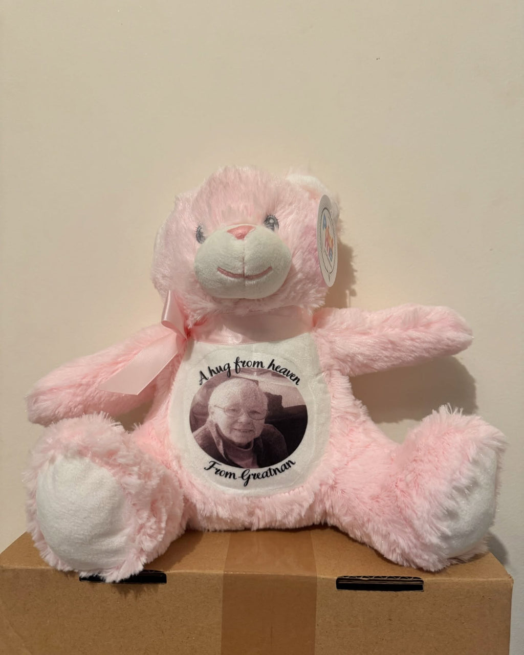 Hug from Heaven Plush