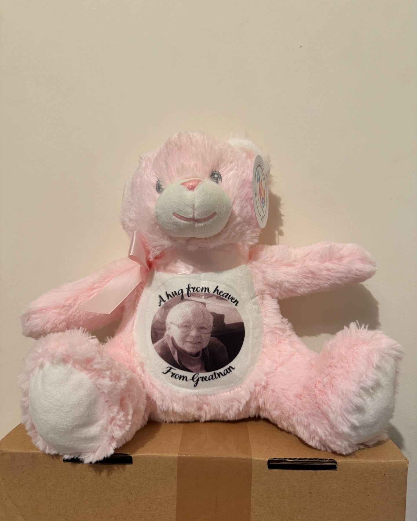Hug from Heaven Plush