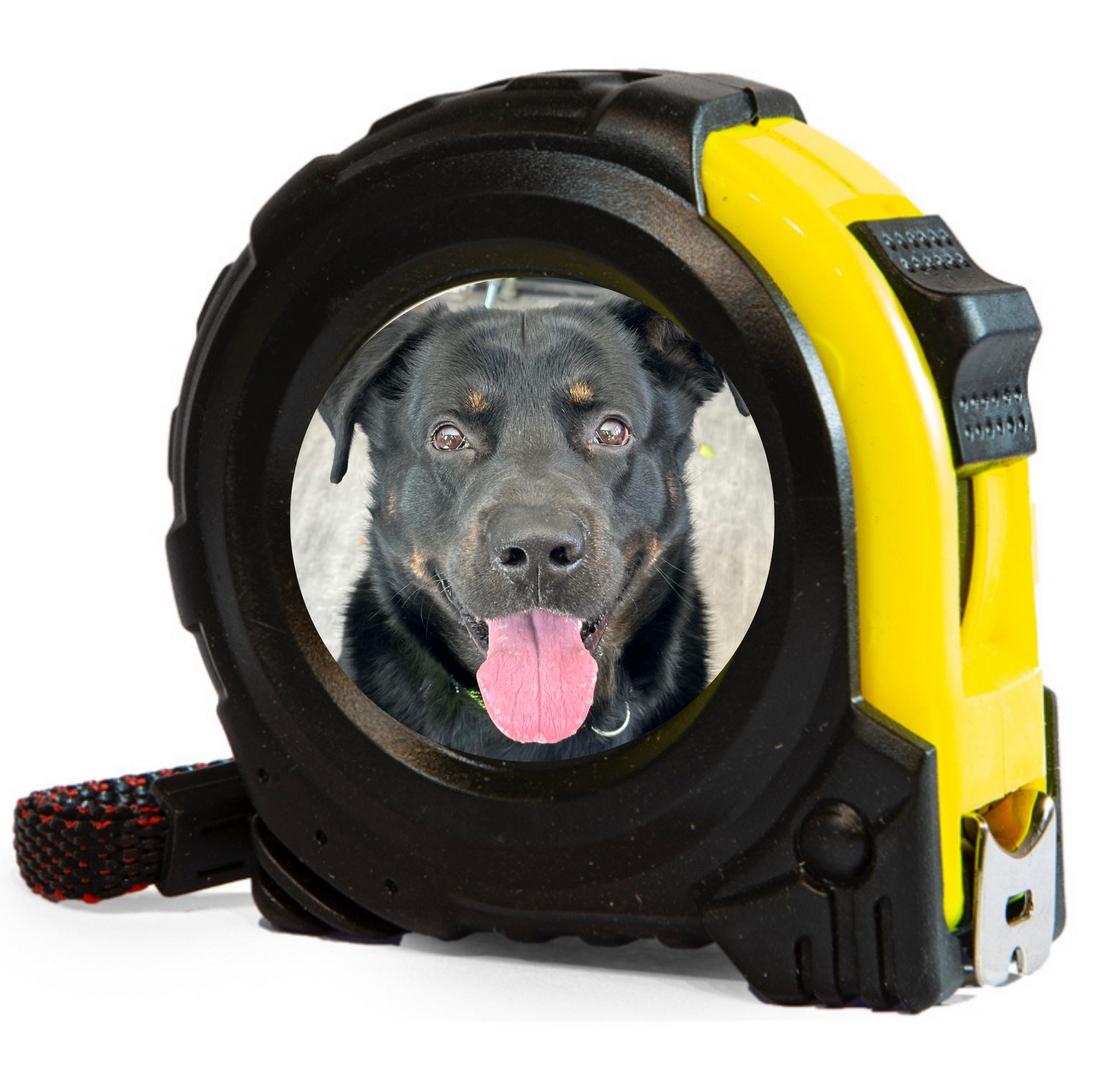 Tape measure - Personalised Image