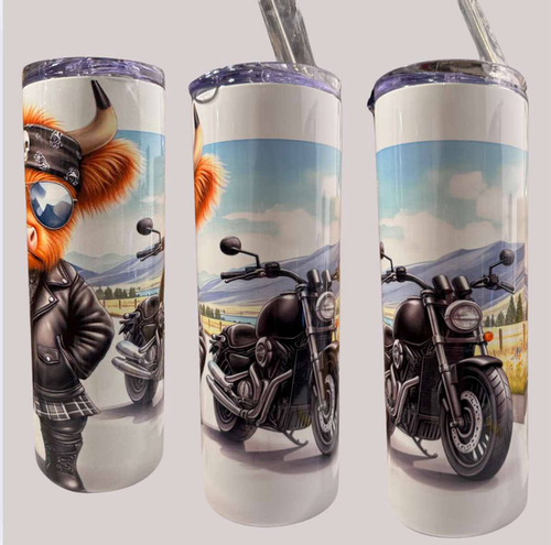 Biker highland cow